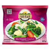 Mix Oriental Congelado Ati-Gel Pacote 300g